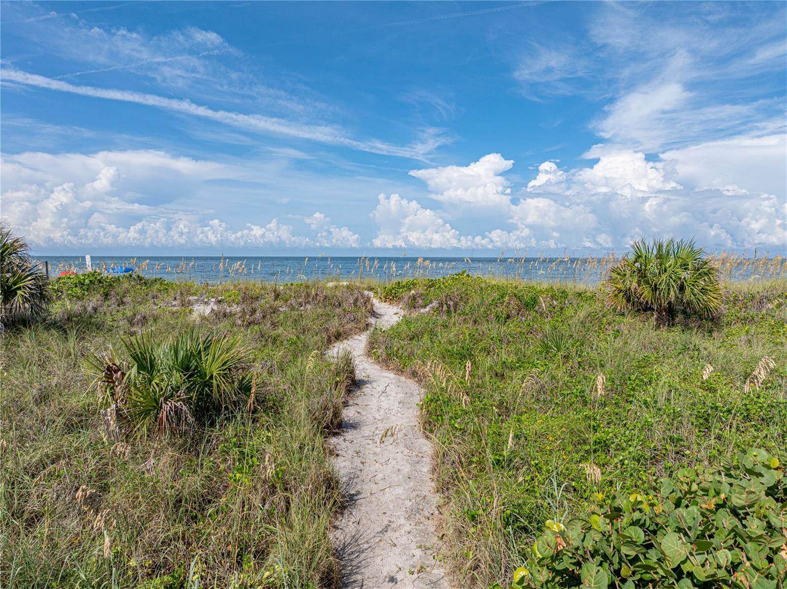 CONEY ISLAND 1ST ADD UNREC - Residential Lease
