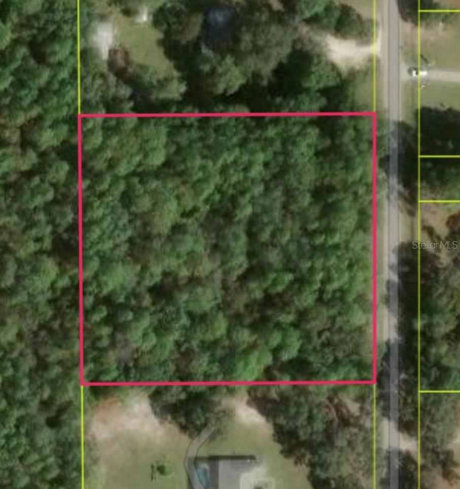 Photo of 1864 S S Colonial Avenue, Homosassa, FL 34448 (MLS # S5153587)