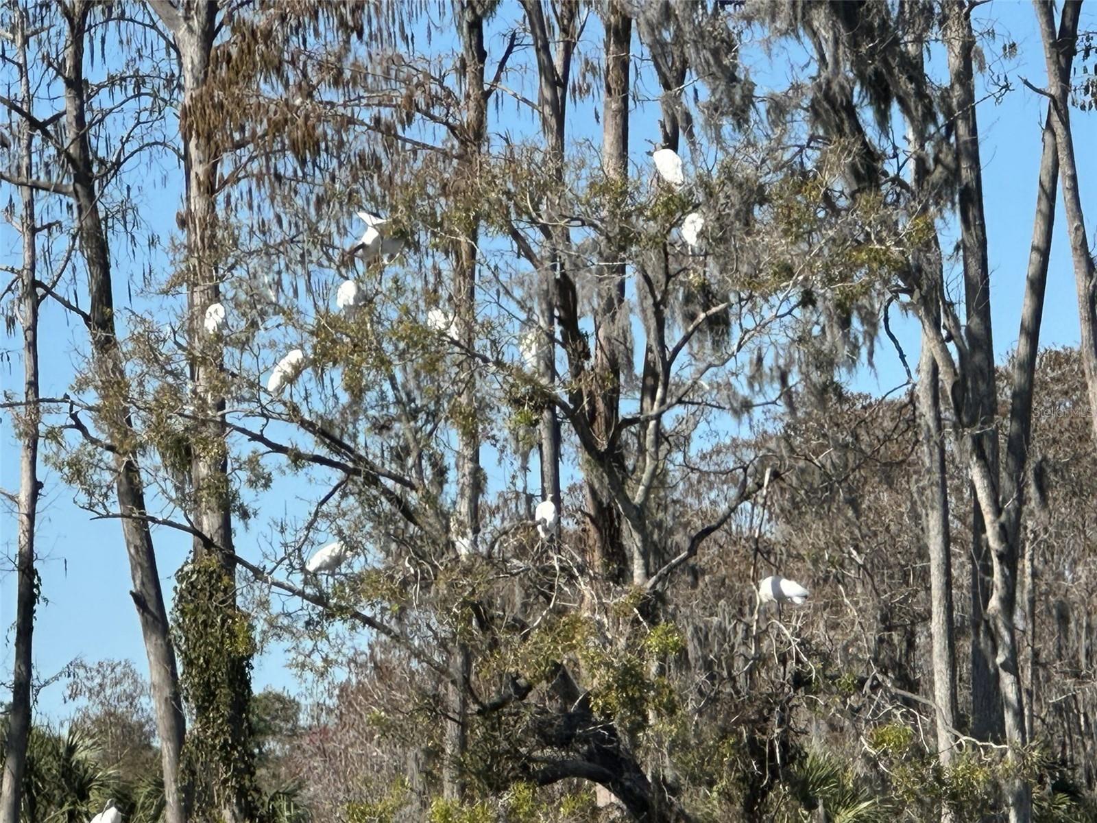 GOLF VIEW VILLAS CONDO 03A - Residential