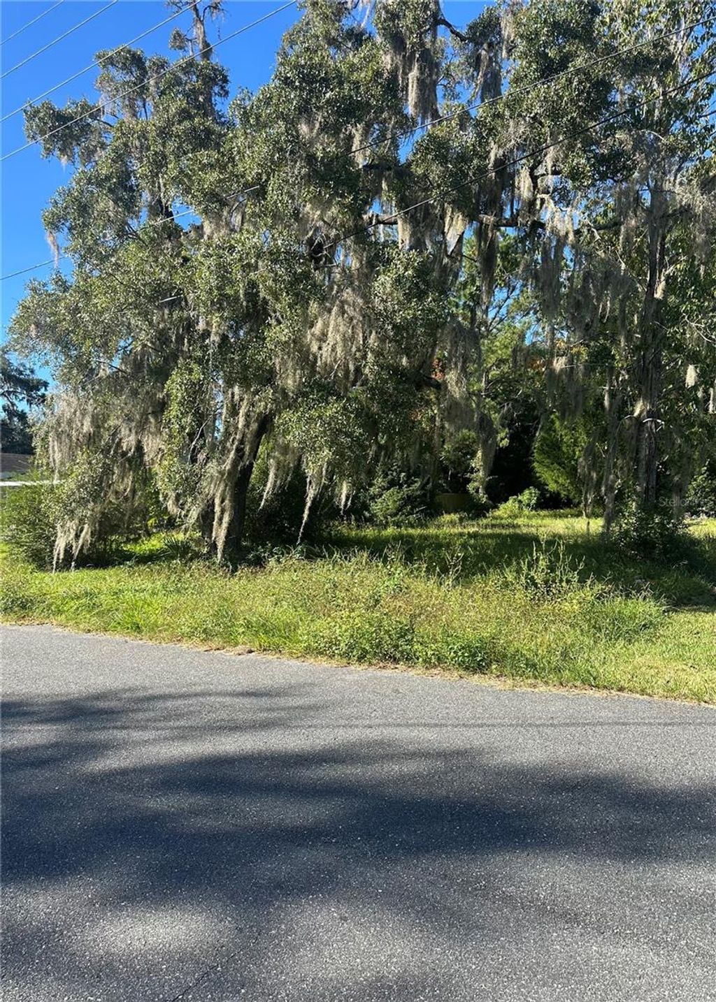 Photo of 8 NE 1st Street, Williston, FL 32696 (MLS # TB8441403)