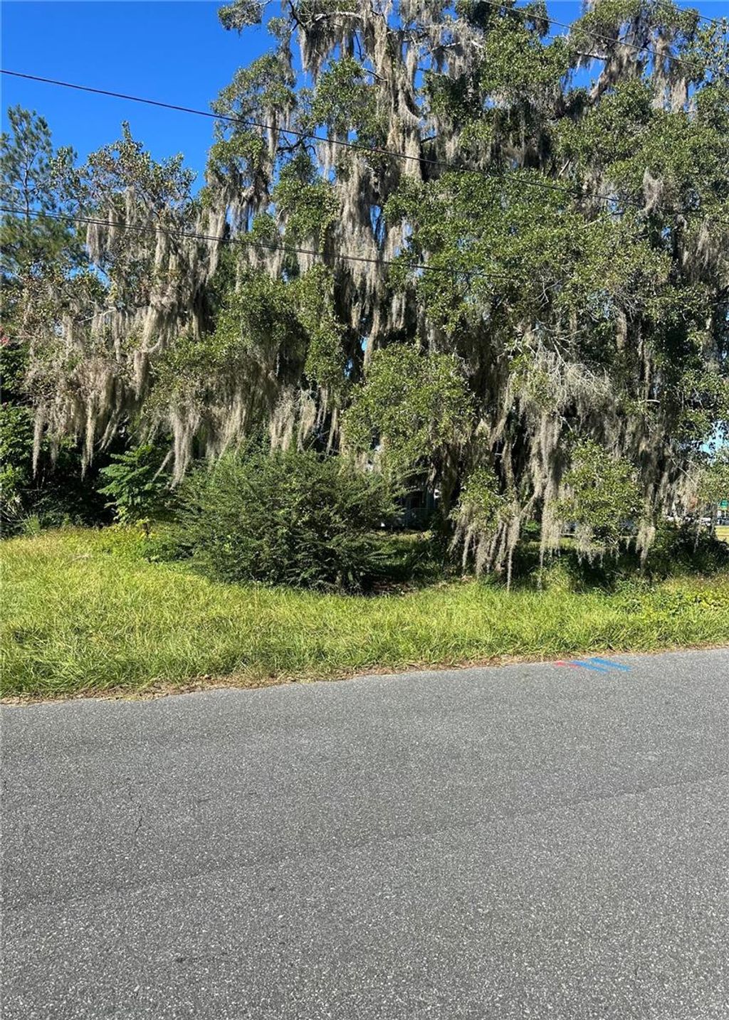 Photo of 8 NE 1st Street, Williston, FL 32696 (MLS # TB8441403)