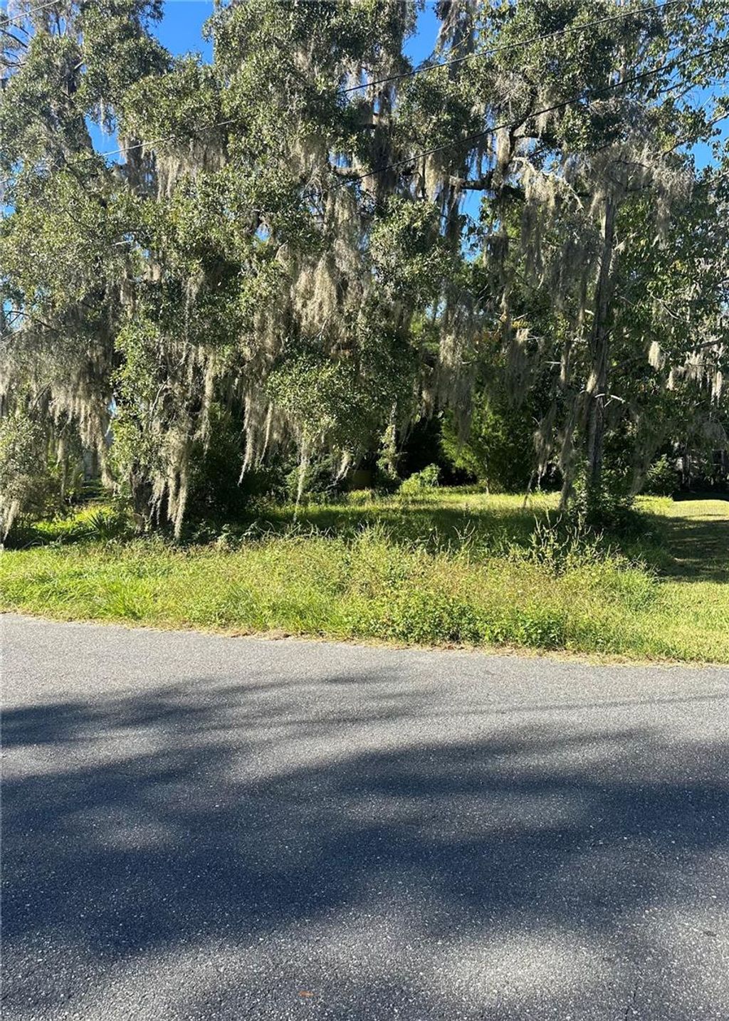 Photo of 8 NE 1st Street, Williston, FL 32696 (MLS # TB8441403)