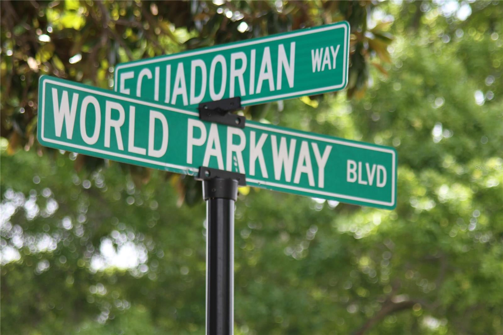 2361 ECUADORIAN WAY 19