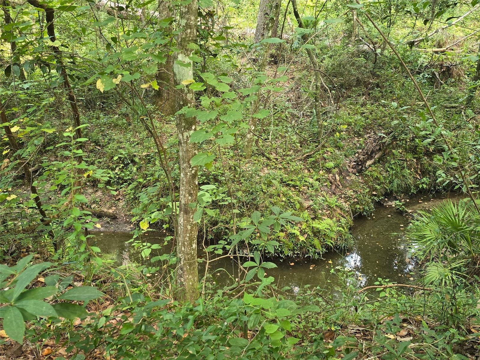 TBD NW SPRING HOLLOW BOULEVARD