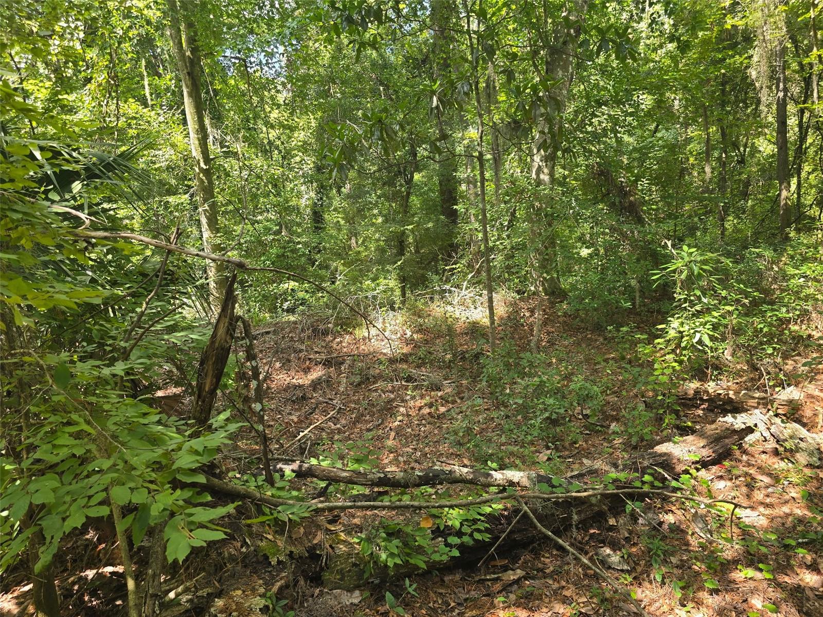 TBD NW SPRING HOLLOW BOULEVARD