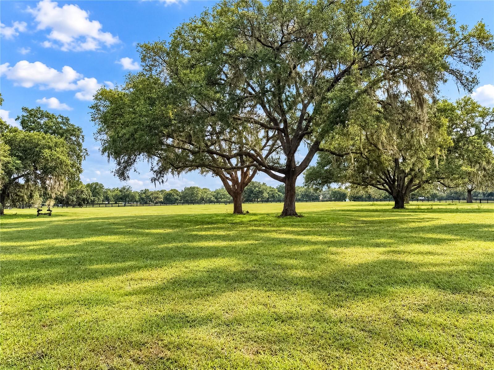 TBD SW 104 STREET ROAD