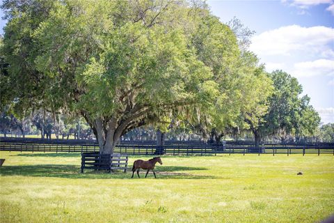 Tiny photo for 6800 NW 193rd Street #Option 1, Micanopy, FL 32667 (MLS # OM691209)