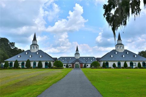 Photo of 6800 NW 193rd Street #Option 1, Micanopy, FL 32667 (MLS # OM691209)