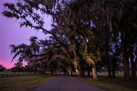 Tiny photo for 6800 NW 193rd Street #Option 1, Micanopy, FL 32667 (MLS # OM691209)
