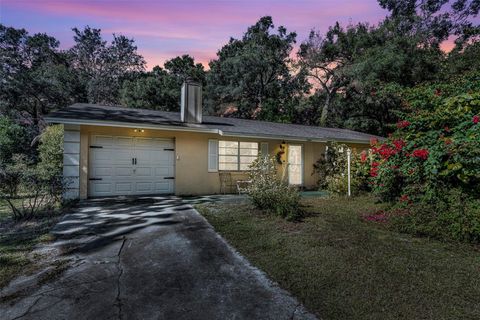 2301 PINE HILL PLACE ORANGE CITY FL 32763