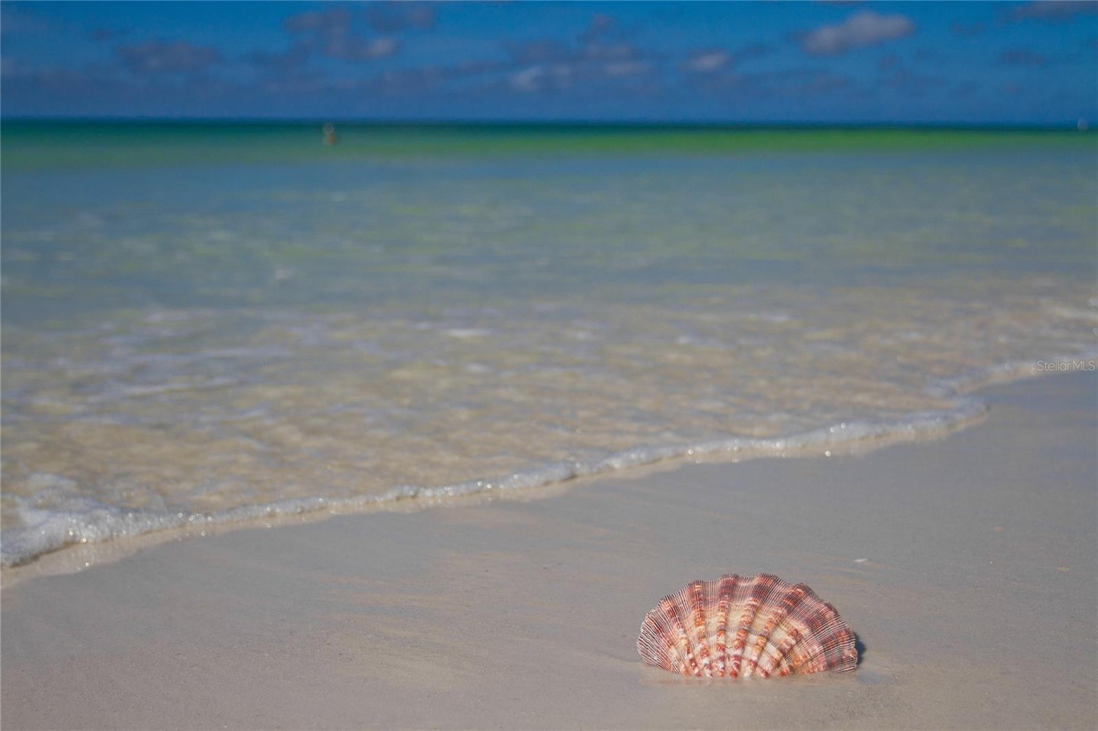 INDIAN BEACH MAP OF - Residential Income