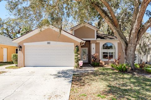 Photo of 5801 Erhardt Drive, Riverview, FL 33578 (MLS # TB8479863)