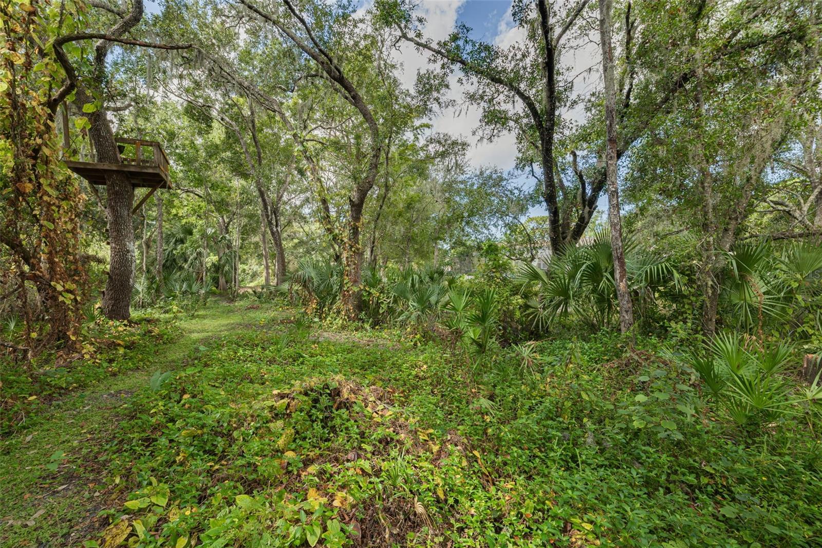 OAK RIDGE - Residential