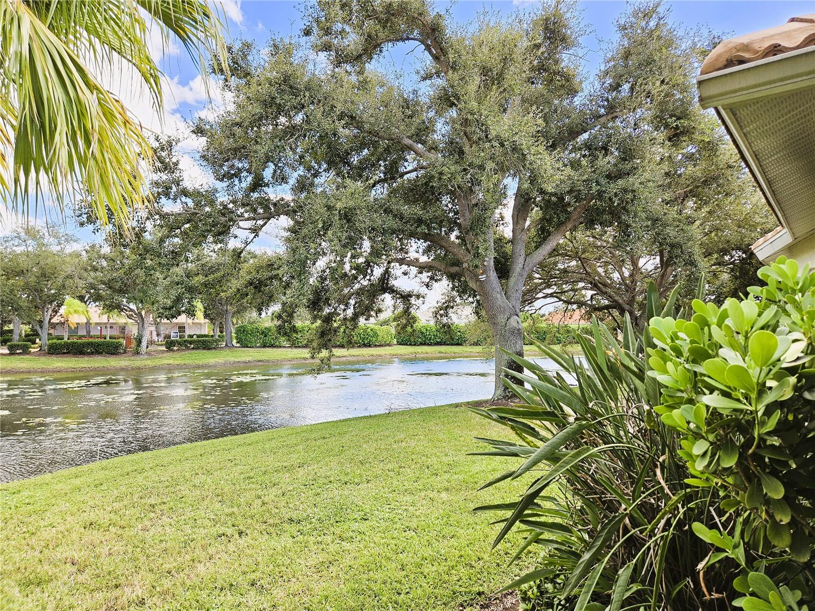 VENETIA PH 5 - Residential Lease