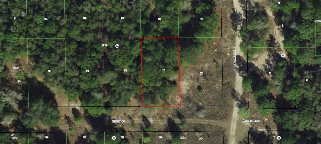 Photo of 1902 Victor Street, Inverness, FL 34453 (MLS # C7530246)