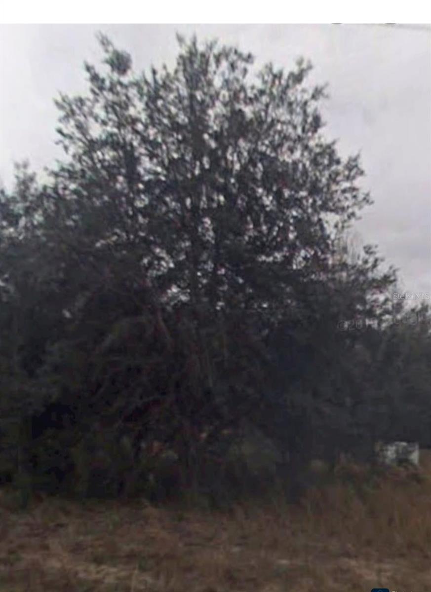 INVERNESS ACRES UNIT 02 AKA INVERNESS VILLAGE - Land