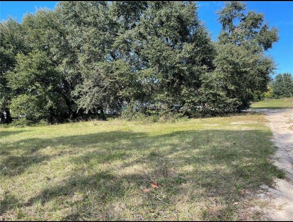Photo of 2109 Byron Street, Inverness, FL 34453 (MLS # OM720660)