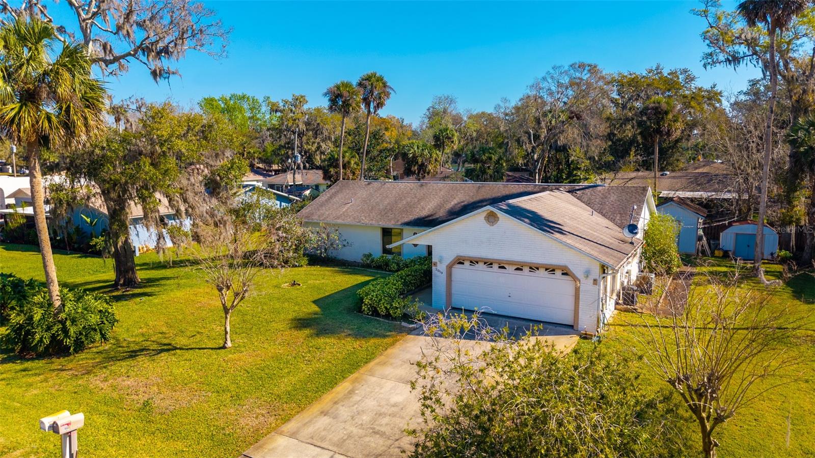2019 ORANGE TREE DRIVE