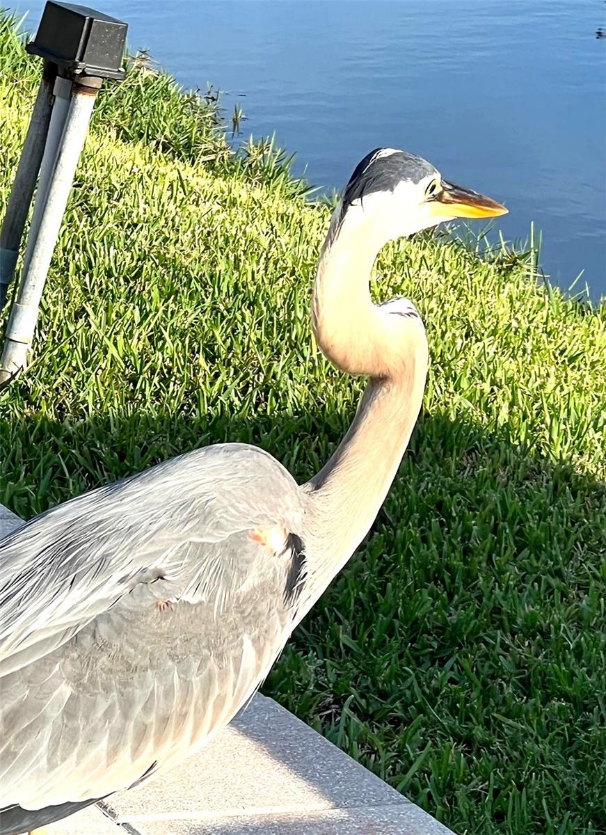 SHADOW LAKES CONDO - Residential