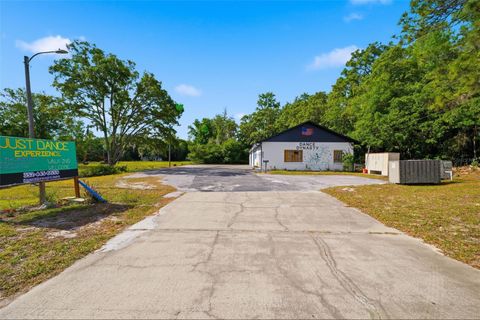 Tiny photo for 6950 W Homosassa Trail, Homosassa, FL 34448 (MLS # W7885569)
