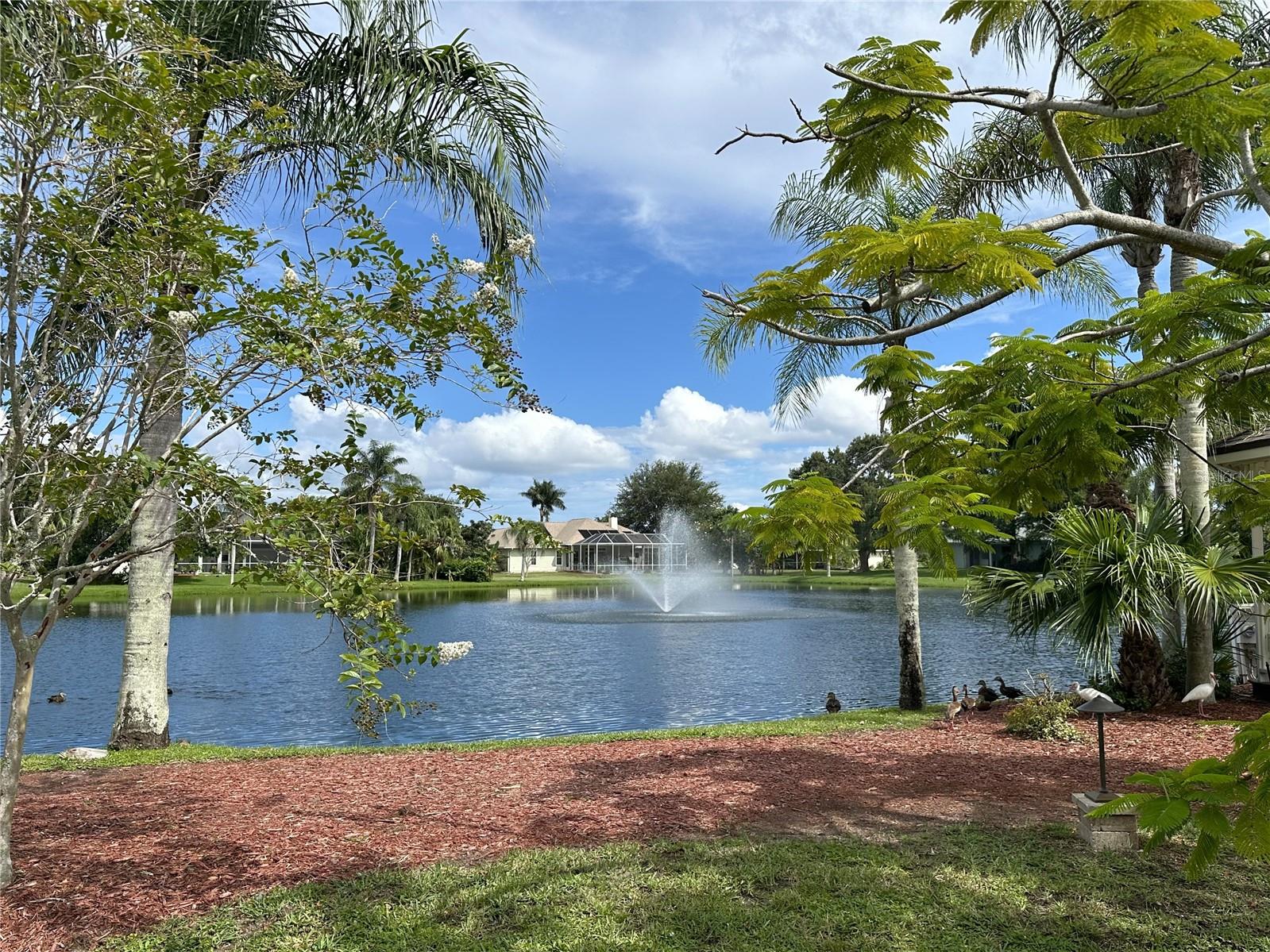 NORTH GROVE - Residential