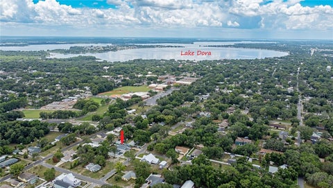 Tiny photo for 1316 E 9th Avenue, Mount Dora, FL 32757 (MLS # O6416275)