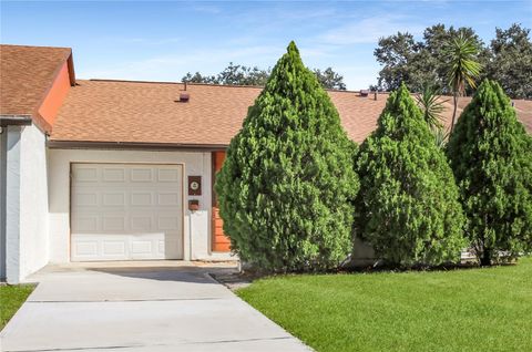 Photo of 134 Sand Pine Circle, Sanford, FL 32773 (MLS # O6359891)