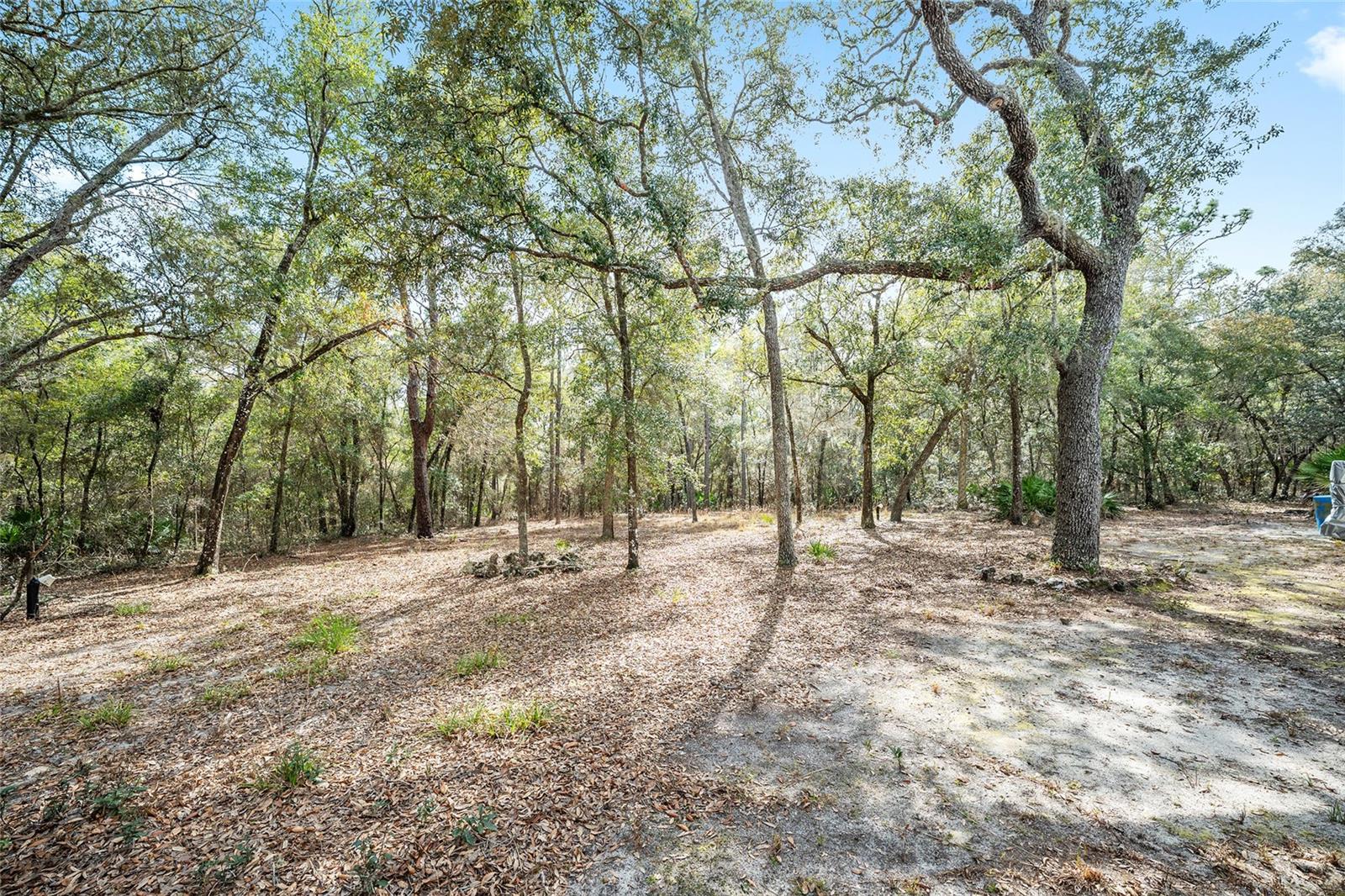 COUNTRY LIVING - Residential