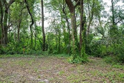 Property photo of 8641 High Street, Yalaha, FL 34797