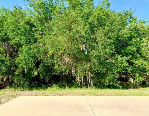 Tiny photo for 4933 SE 92nd Boulevard, Webster, FL 33597 (MLS # G5112027)
