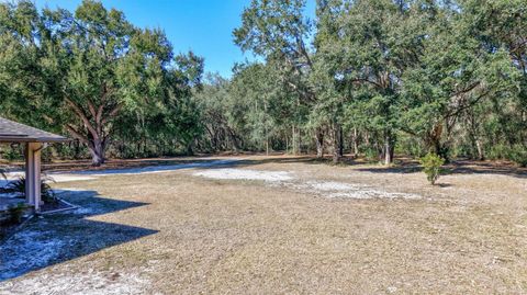 Tiny photo for 1923 Cr 738, Webster, FL 33597 (MLS # TB8473163)
