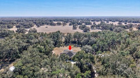 Tiny photo for 1923 Cr 738, Webster, FL 33597 (MLS # TB8473163)