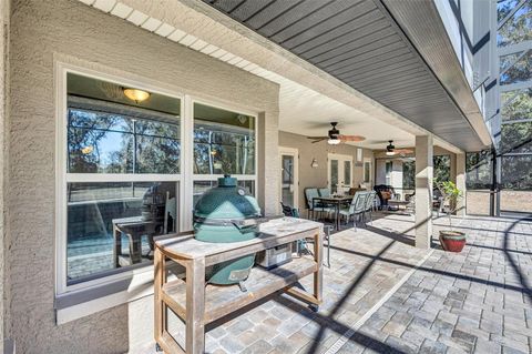 Tiny photo for 1923 Cr 738, Webster, FL 33597 (MLS # TB8473163)