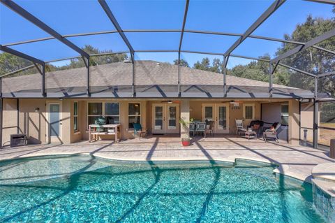 Tiny photo for 1923 Cr 738, Webster, FL 33597 (MLS # TB8473163)