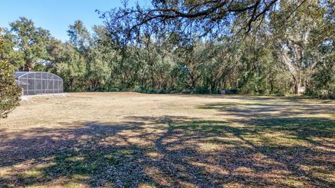 Tiny photo for 1923 Cr 738, Webster, FL 33597 (MLS # TB8473163)