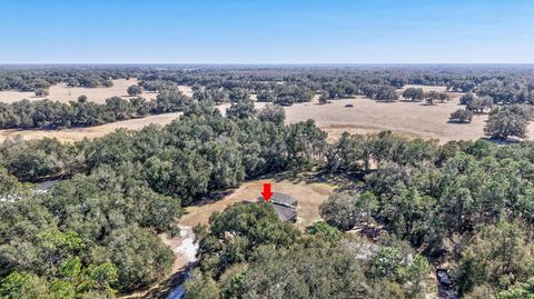 Tiny photo for 1923 Cr 738, Webster, FL 33597 (MLS # TB8473163)