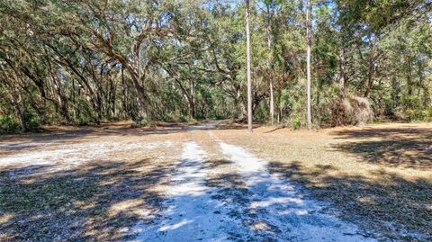 Tiny photo for 1923 Cr 738, Webster, FL 33597 (MLS # TB8473163)