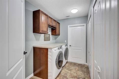 Tiny photo for 1923 Cr 738, Webster, FL 33597 (MLS # TB8473163)