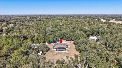 Tiny photo for 1923 Cr 738, Webster, FL 33597 (MLS # TB8473163)