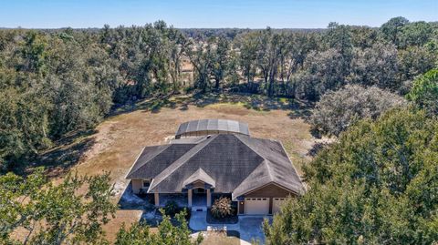 Tiny photo for 1923 Cr 738, Webster, FL 33597 (MLS # TB8473163)