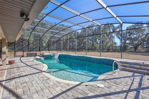 Tiny photo for 1923 Cr 738, Webster, FL 33597 (MLS # TB8473163)