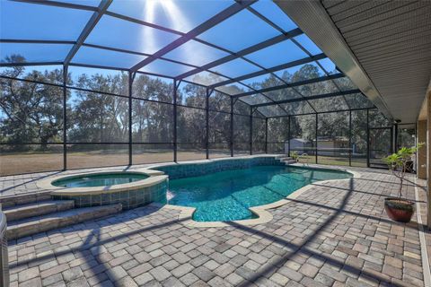 Tiny photo for 1923 Cr 738, Webster, FL 33597 (MLS # TB8473163)