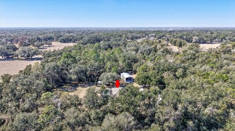 Tiny photo for 1923 Cr 738, Webster, FL 33597 (MLS # TB8473163)