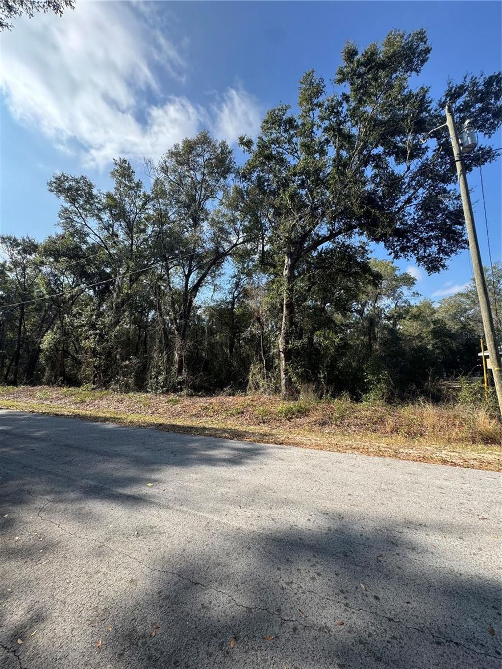 Photo of Locust Run Radial, Ocala, FL 34472 (MLS # OM716159)