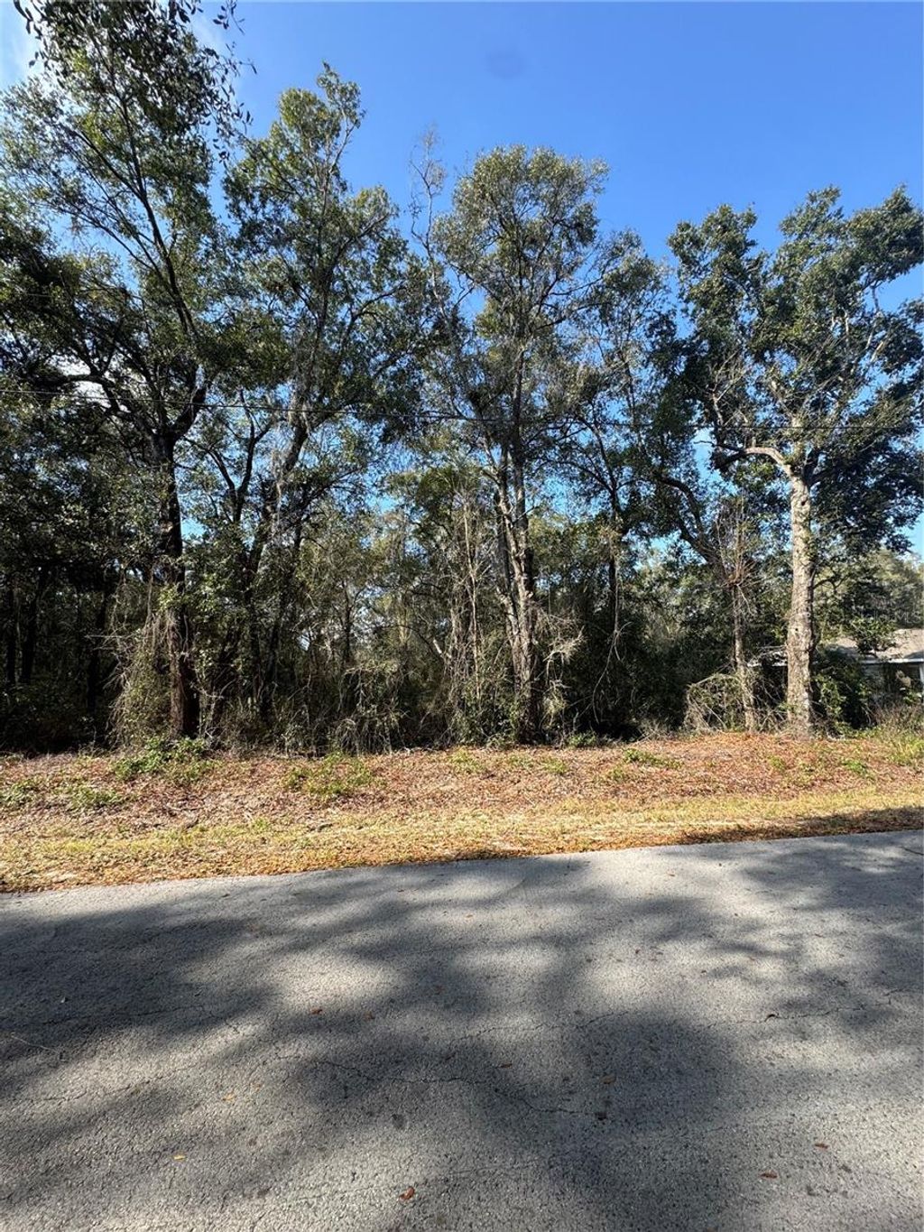 Photo of Locust Run Radial, Ocala, FL 34472 (MLS # OM716159)