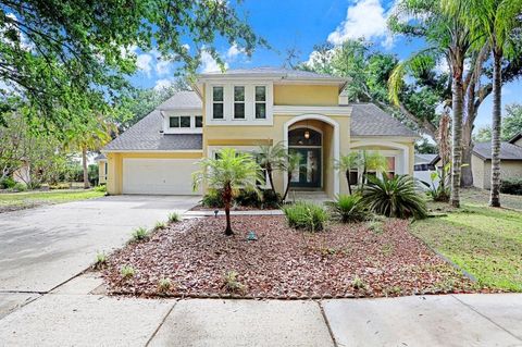 Photo of 6214 Farthing Street, Tampa, FL 33647 (MLS # TB8496126)