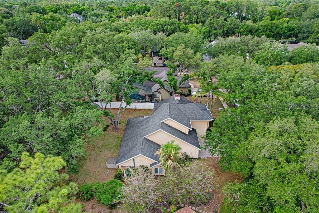 TAMPA PALMS UNIT 3B A REP - Residential