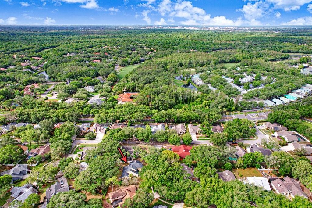 TAMPA PALMS UNIT 3B A REP - Residential