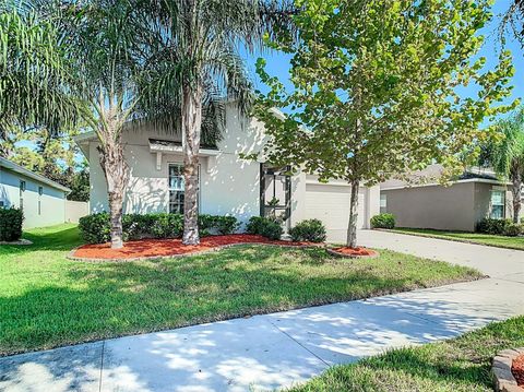 A home in WIMAUMA