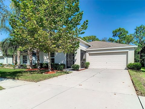 A home in WIMAUMA